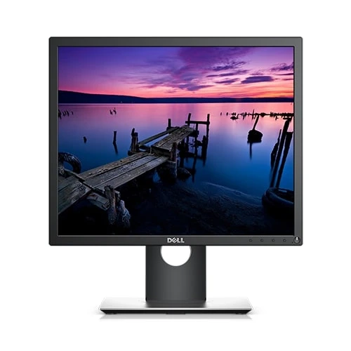 DELL 19 MONITOR P1917S